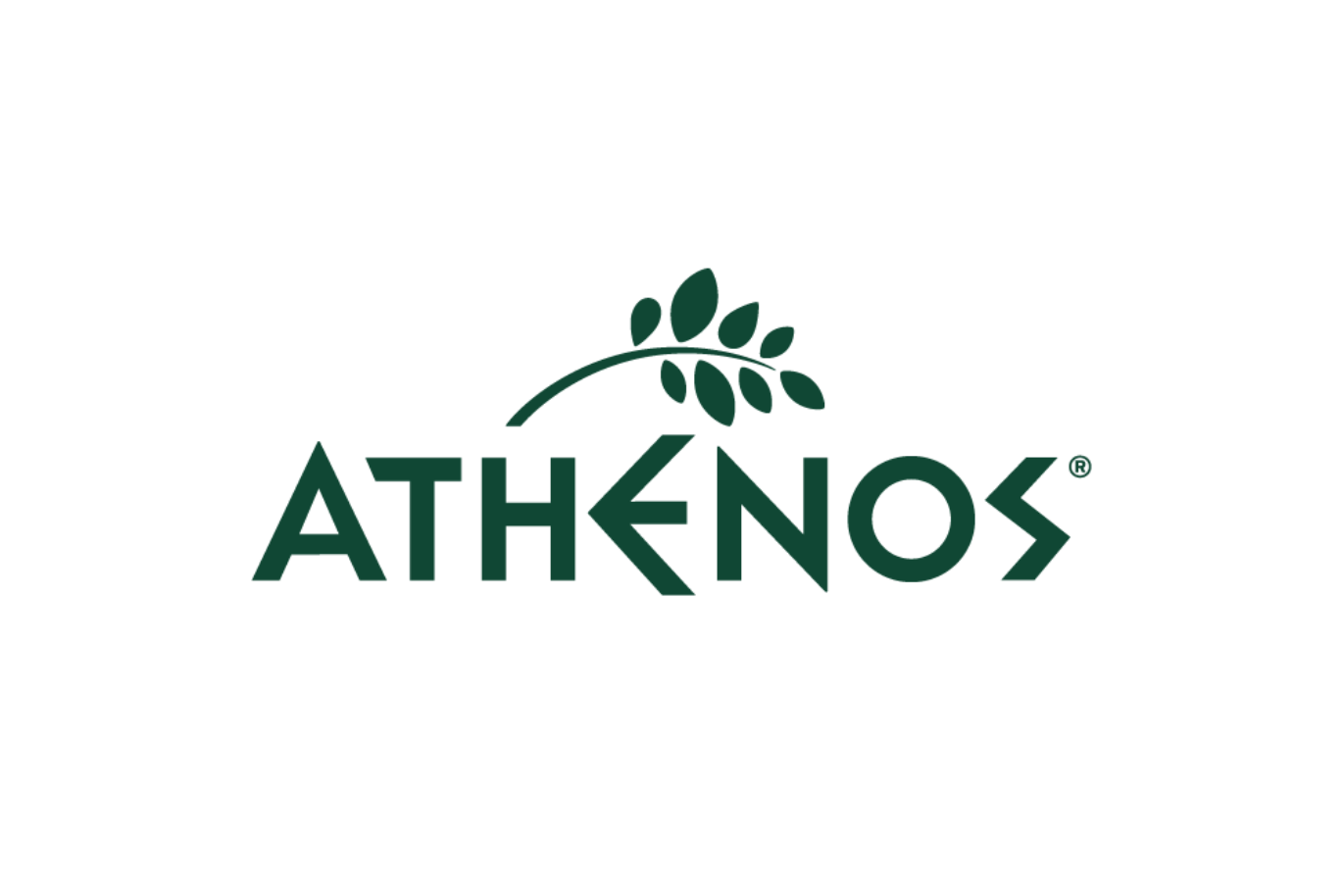 Our Brands